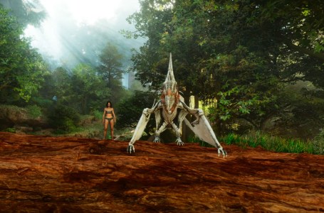 Does ARK: Survival Ascended Include All DLC? 