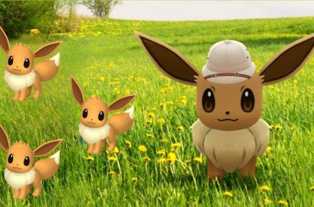  Every Eevee Day 2023 Celebration in Pokemon Games: Scarlet & Violet, Sleep, & Pokemon GO 