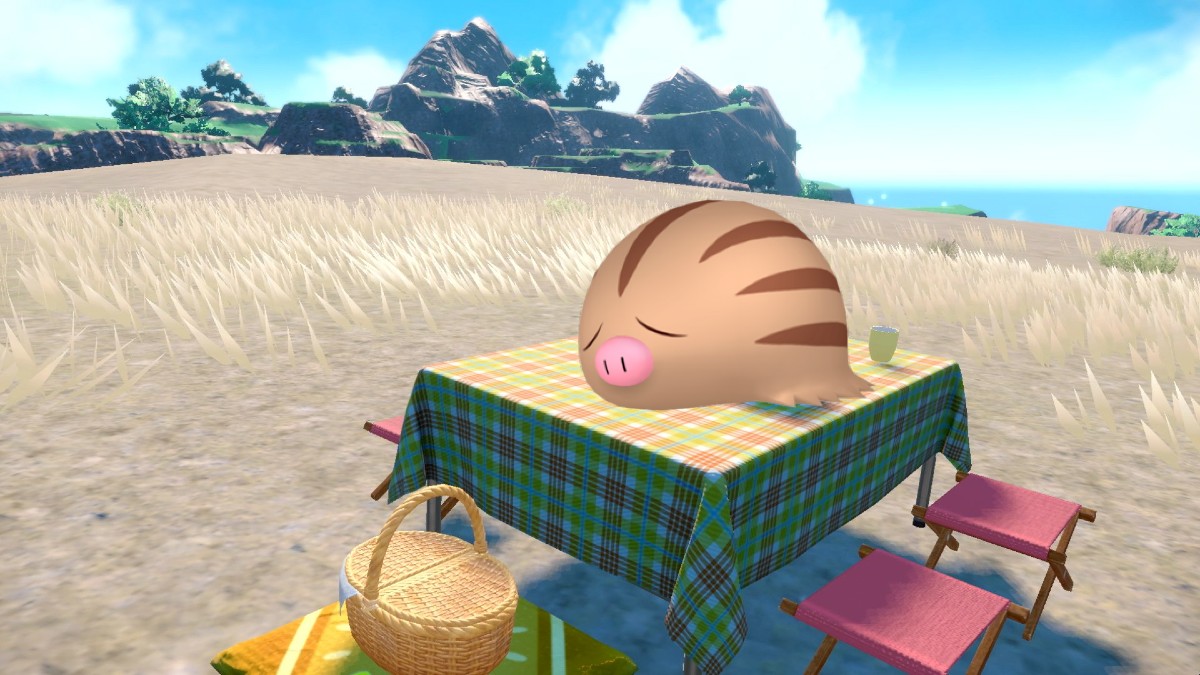 Swinub at the Picnic