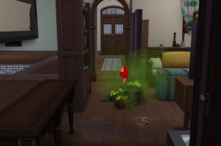  Sims 4 For Rent Mold Guide: Mold Types, Mold Lot Challenge, And Death by Mold 