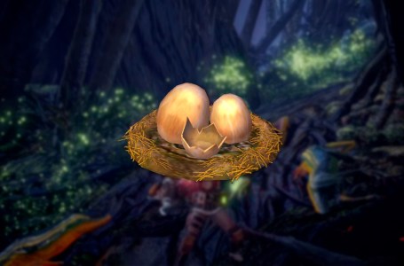  What To Do With Wyvern Eggs In Monster Hunter World (& How To Steal Them) 