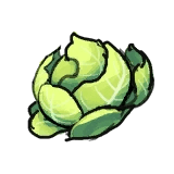 Immortal Life Cabbage