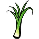 Immortal Life Green Onion