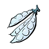 Immortal Life Snow Bean